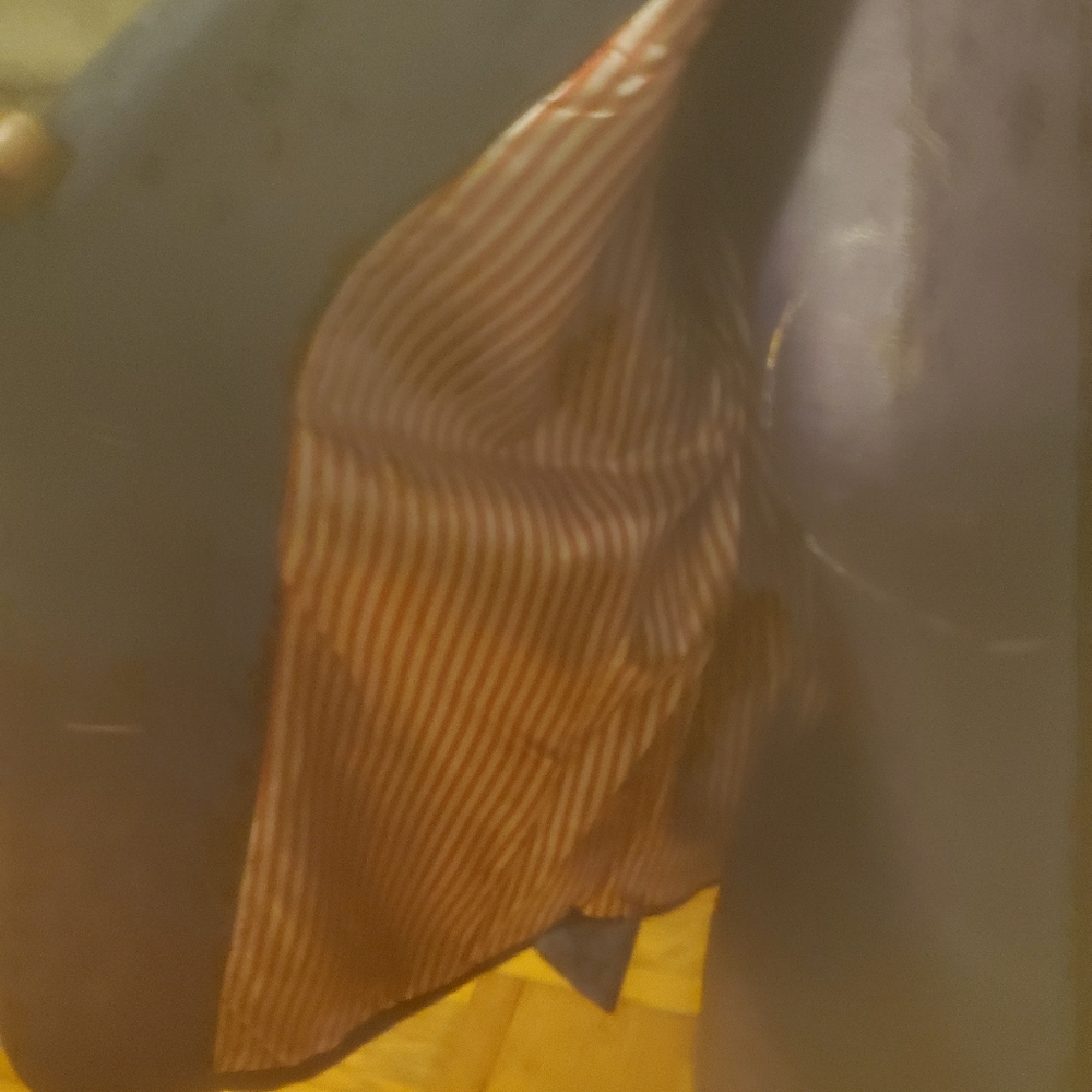 Blazer - Picture 2 of 2